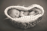 Maternity/Newborn